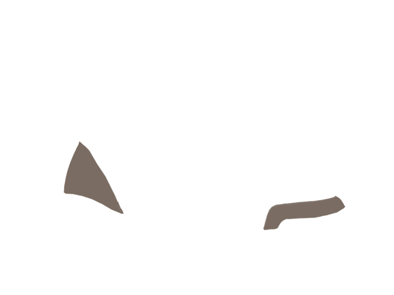 EARTH LEATHER