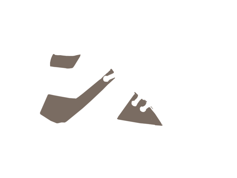 EARTH LEATHER