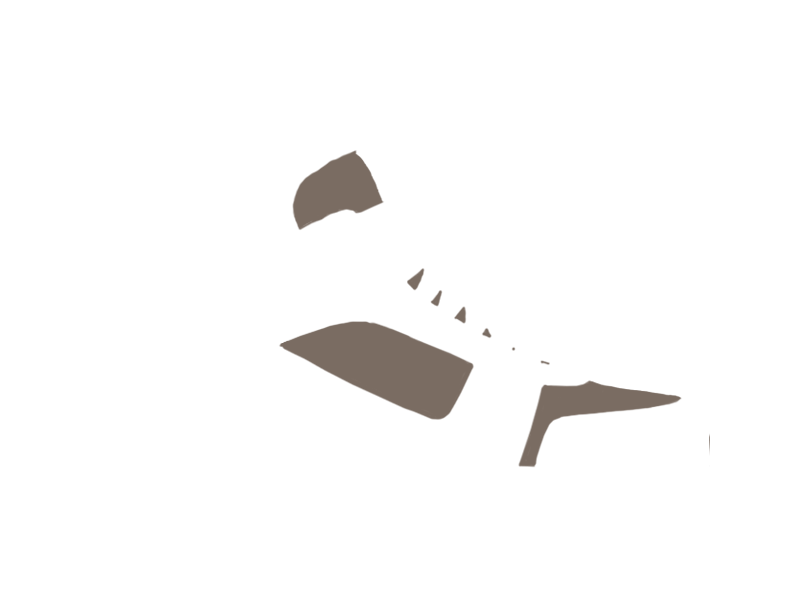 EARTH LEATHER