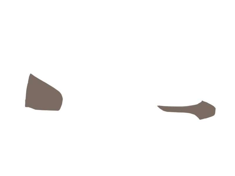 EARTH LEATHER