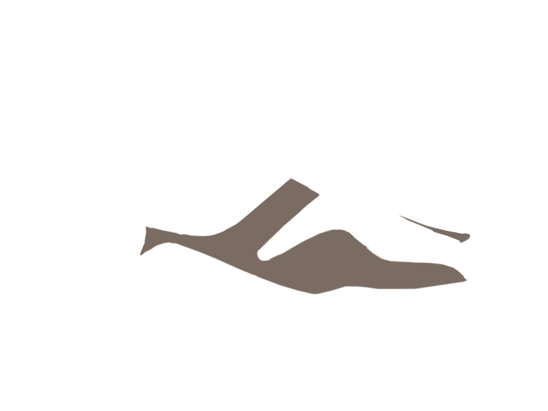 EARTH LEATHER