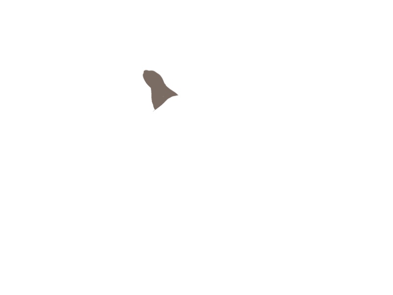 EARTH LEATHER