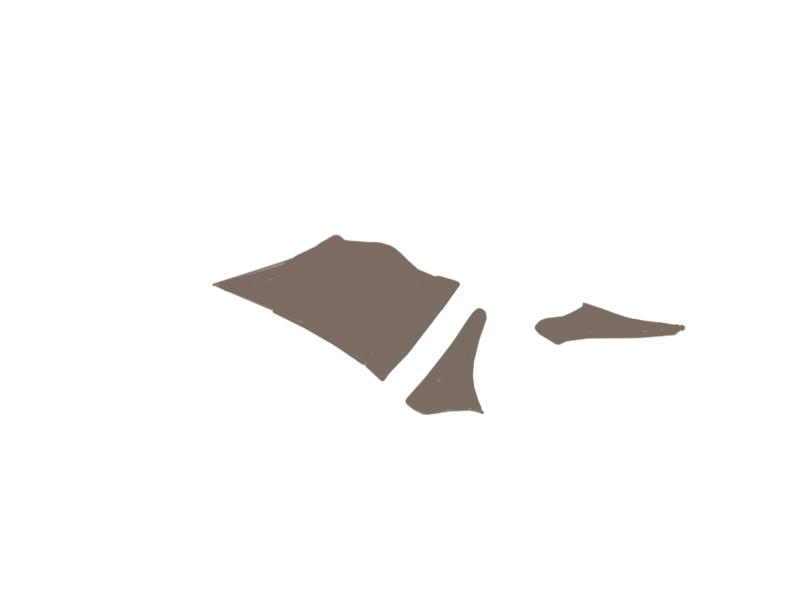 EARTH LEATHER