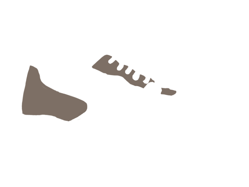 EARTH LEATHER