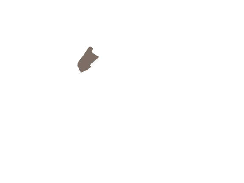 EARTH LEATHER