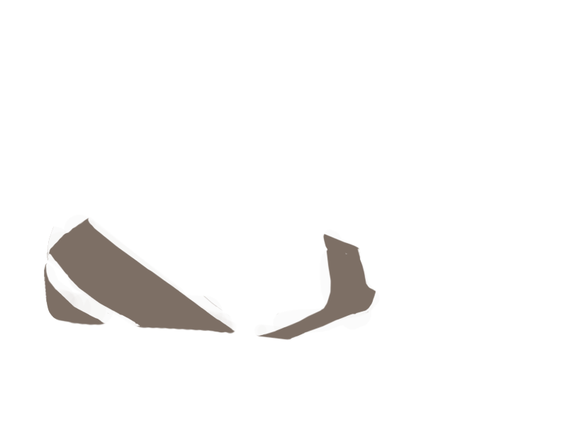 EARTH LEATHER
