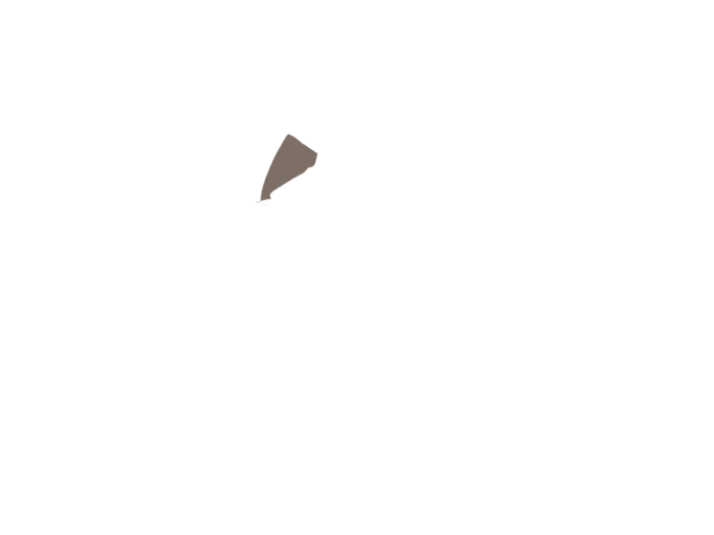 EARTH LEATHER