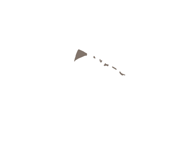 EARTH LEATHER
