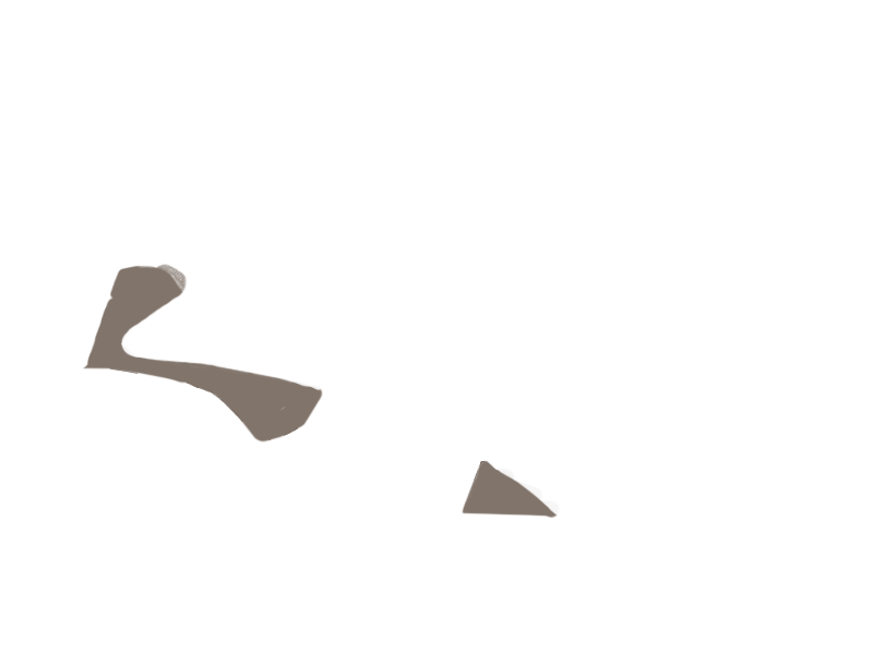 EARTH LEATHER