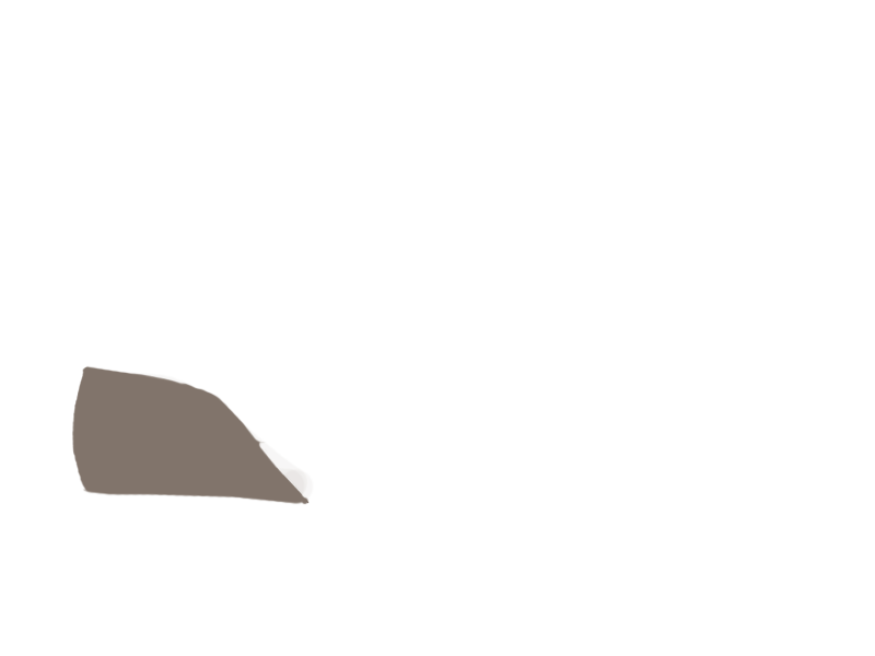 EARTH LEATHER