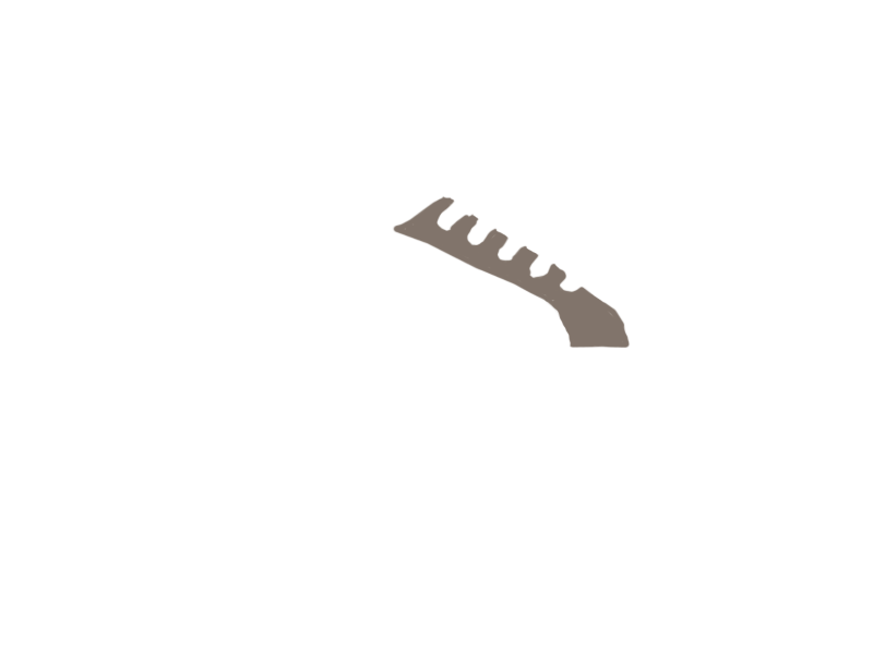 EARTH LEATHER