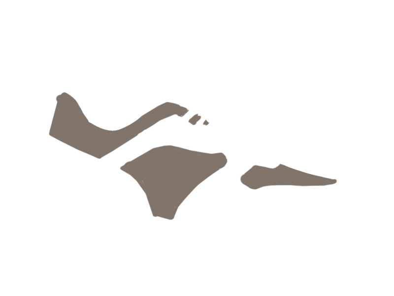 EARTH LEATHER