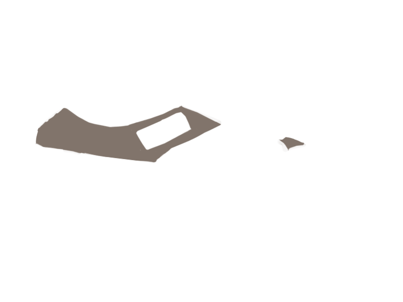 EARTH LEATHER