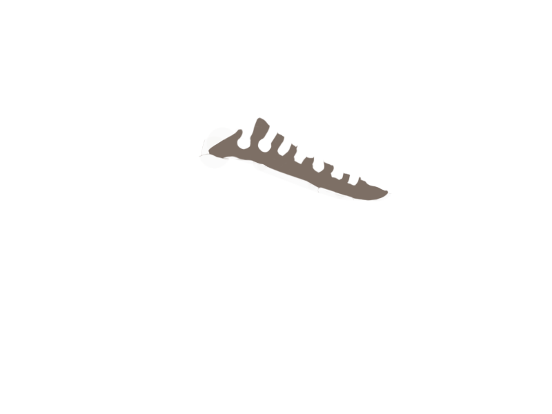 EARTH LEATHER