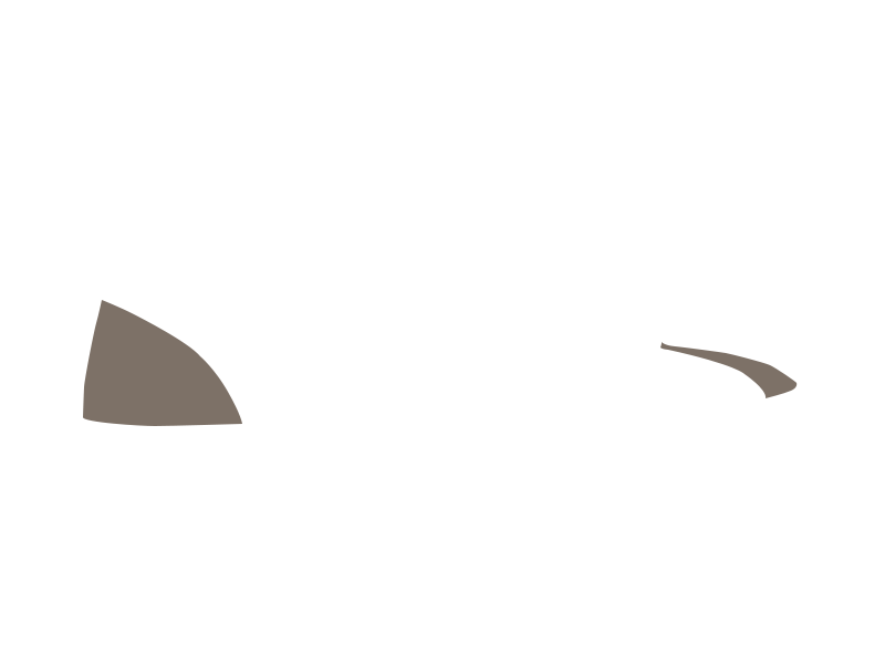 EARTH LEATHER
