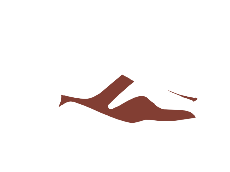 REDSKIN LEATHER