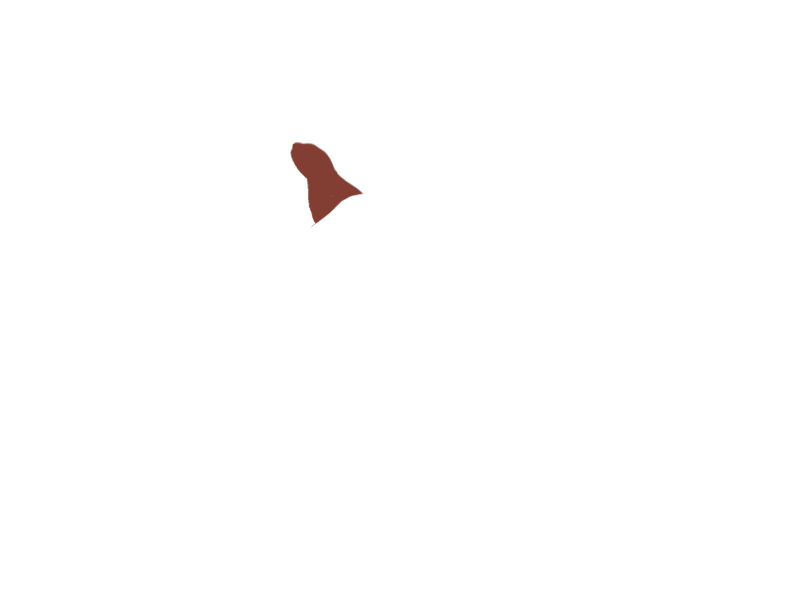 REDSKIN LEATHER