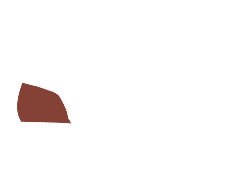 REDSKIN LEATHER