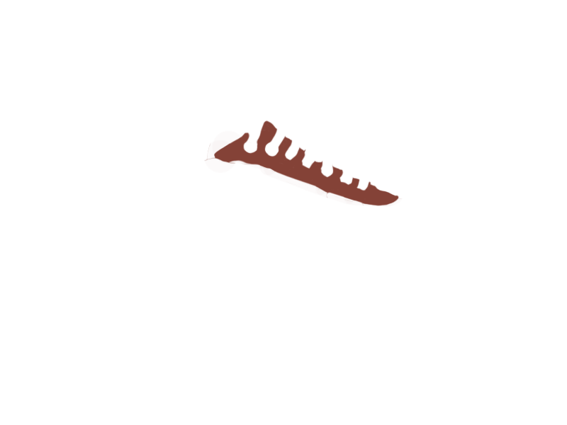 REDSKIN LEATHER