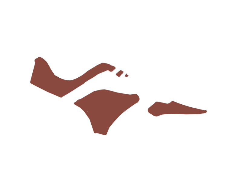 REDSKIN LEATHER