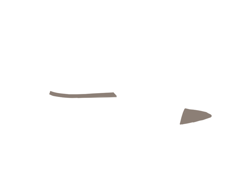 EARTH LEATHER