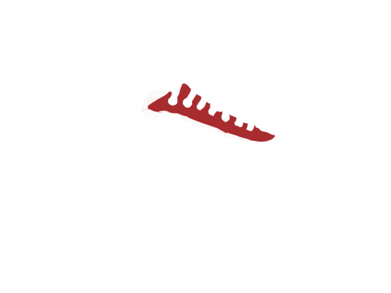 SANTA CLAUS LEATHER