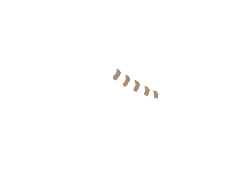 MOUTON