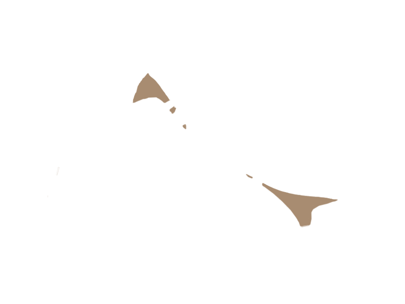 MOUTON LEATHER