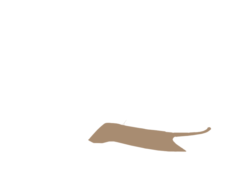 MOUTON LEATHER