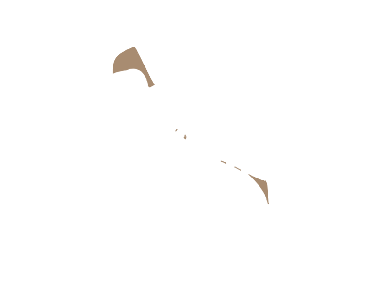 MOUTON LEATHER
