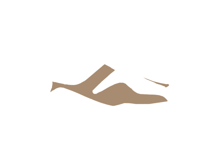 MOUTON LEATHER