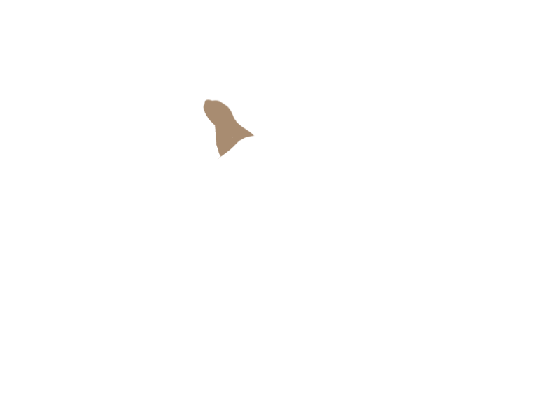 MOUTON LEATHER