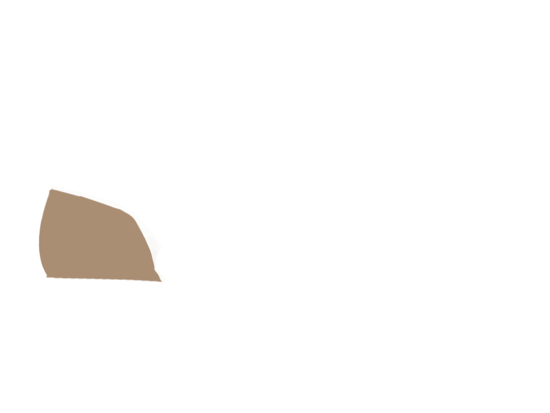MOUTON LEATHER