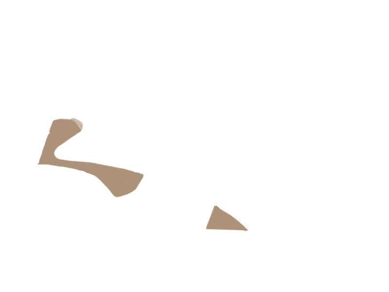 MOUTON LEATHER