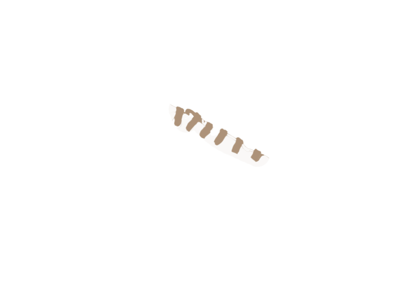 MOUTON