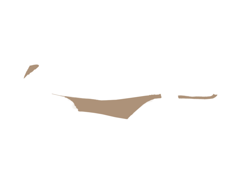 MOUTON LEATHER