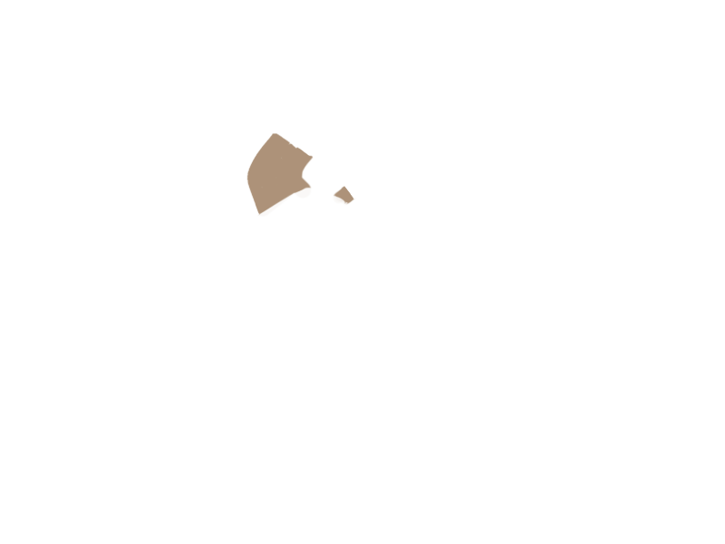 MOUTON LEATHER