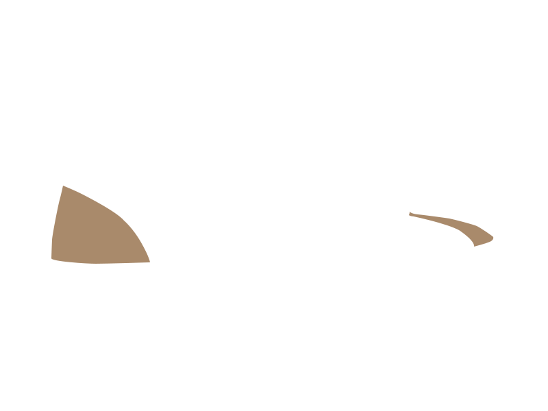 MOUTON LEATHER