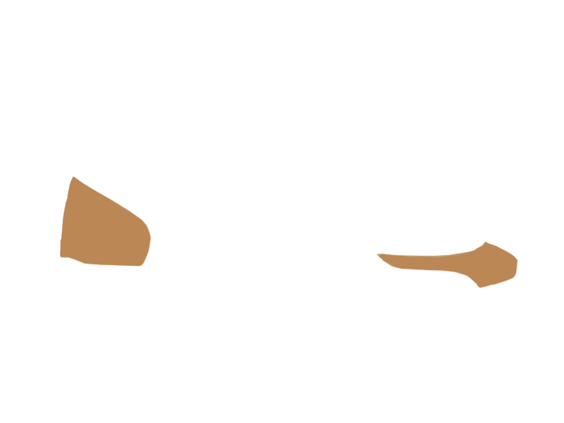 DARK BEIGE LEATHER