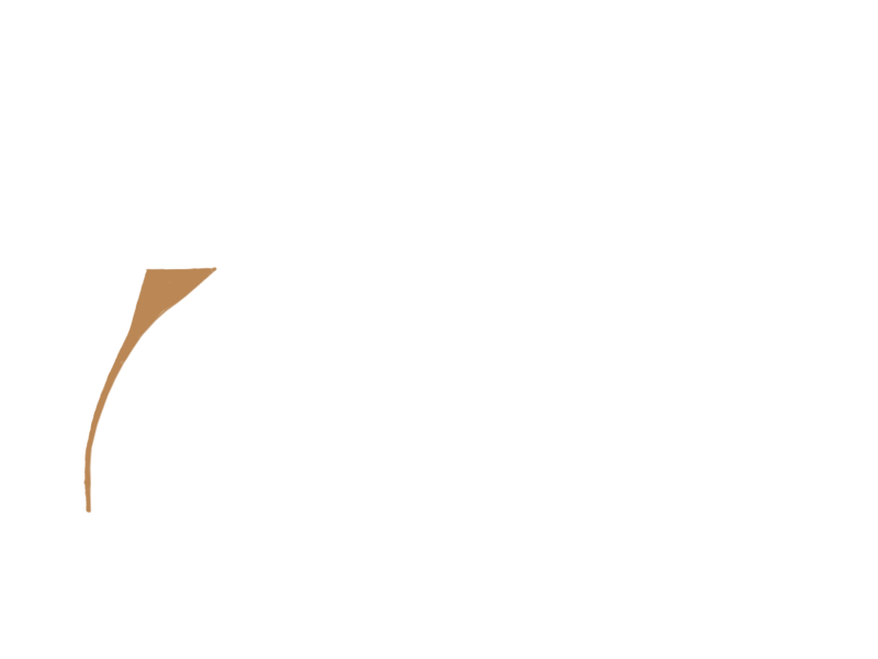 DARK BEIGE LEATHER