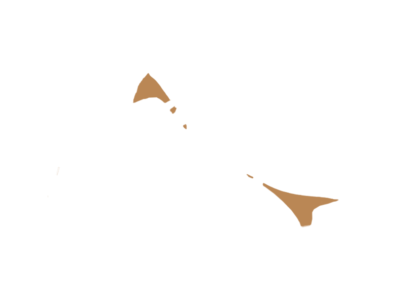 DARK BEIGE LEATHER