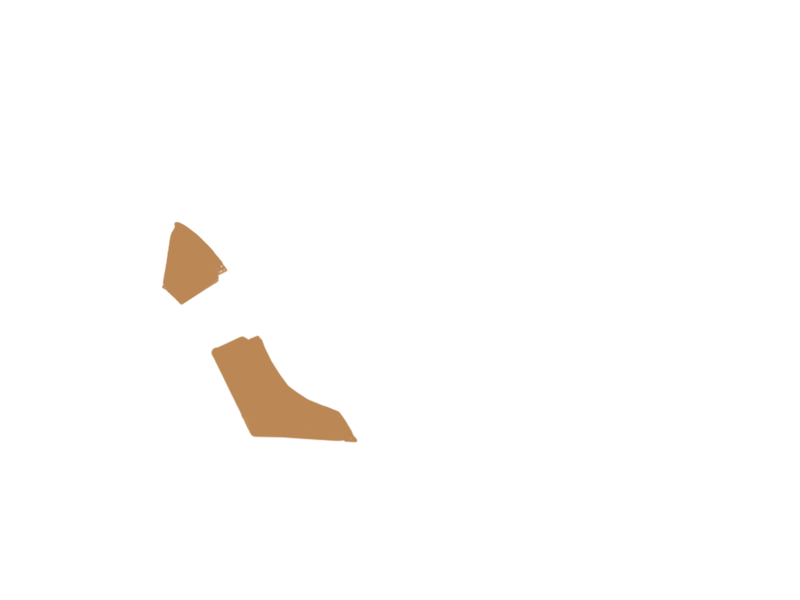 DARK BEIGE LEATHER