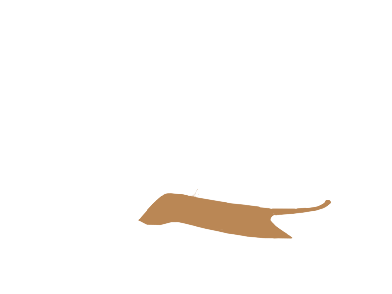 DARK BEIGE LEATHER