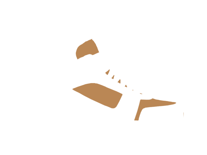 DARK BEIGE LEATHER