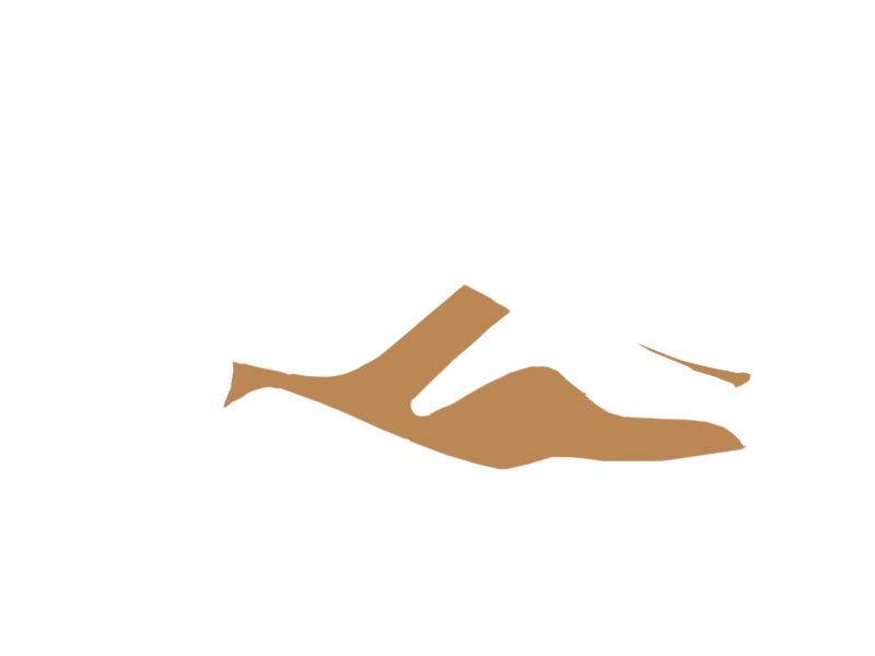 DARK BEIGE LEATHER