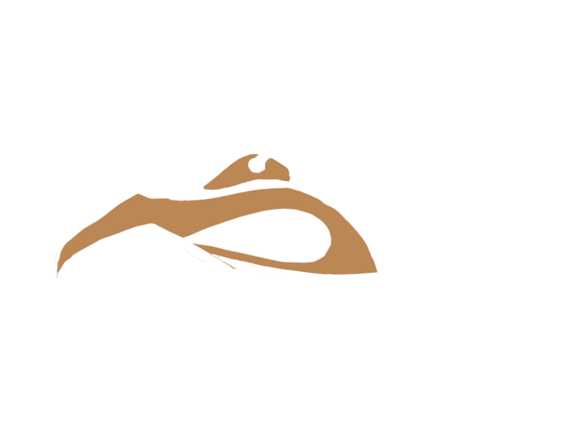 DARK BEIGE LEATHER