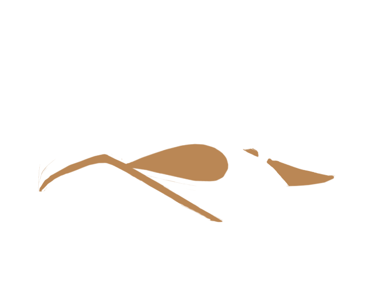 DARK BEIGE LEATHER