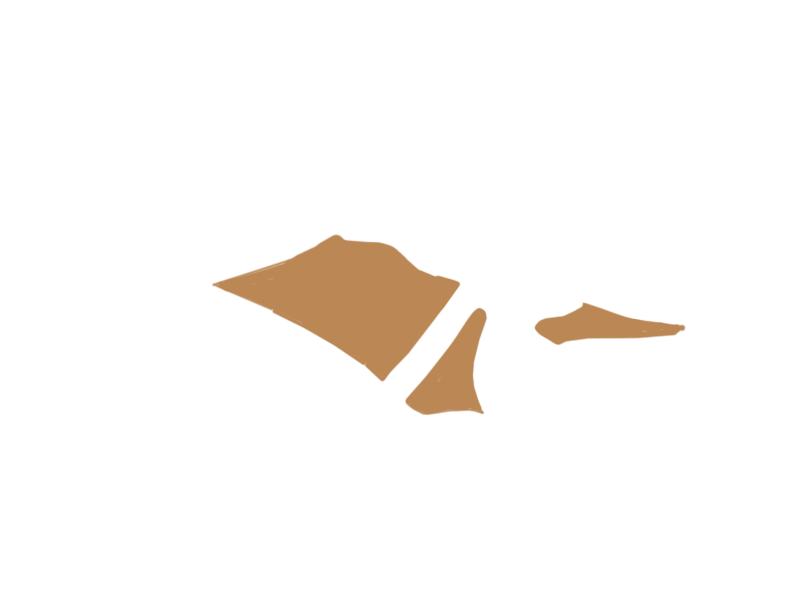 DARK BEIGE LEATHER
