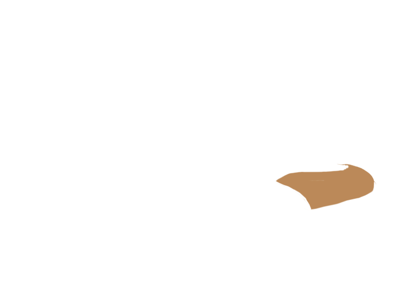 DARK BEIGE LEATHER