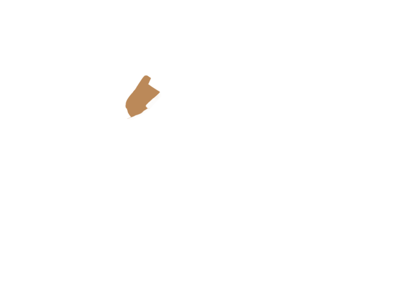 DARK BEIGE LEATHER
